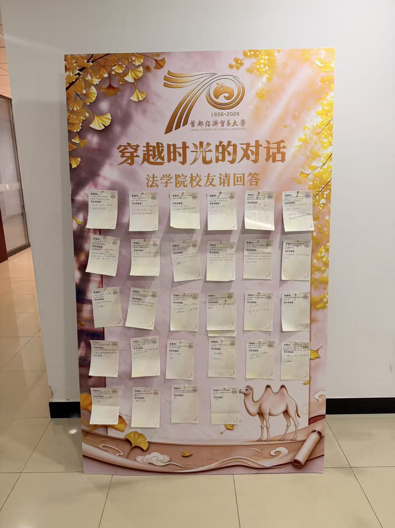 问答总.jpg
